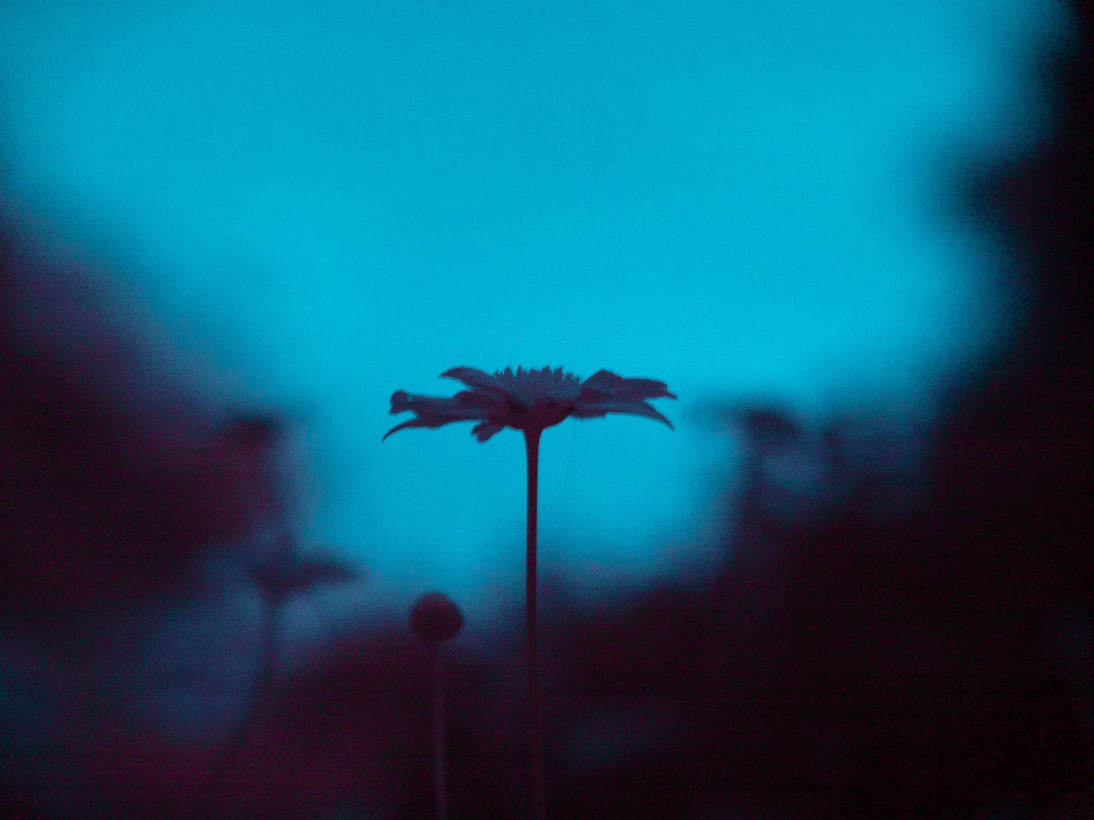 紅外 3